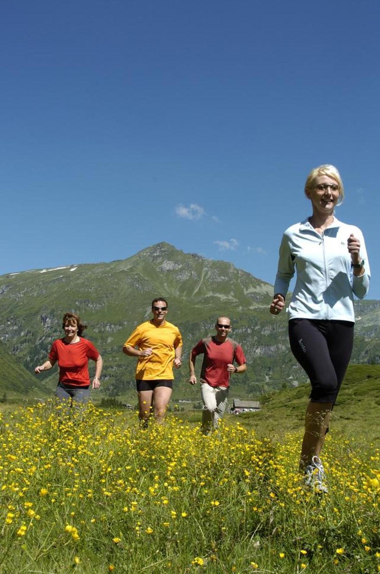 Ferienhaus Schiwiese Mit Freiem Eintritt In Die Alpentherme & Freie Nutzung Der Gasteiner Bergbahnen Im Sommer 2025 Bad Hofgastein Luaran gambar
